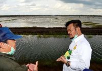 Mentan Syahrul Yasin Limpo Dikabarkan Tiba Sore Ini di Bandara Soetta