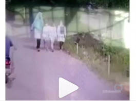 Wanita Pencuri Perhiasan Pura-pura Nangis Minta Diantar Ketemu Anak, Nekat Gigit Telinga Bocah Korbannya
