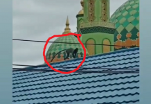 Monyet 'Hirangan' Terekam Kamera Berlari di Atas Masjid Miftahul Jannah Kotabaru