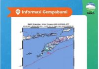 Giliran NTT Diguncang Gempa, Karyawan Berhamburan ke Luar Kantor