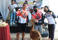 Unik, Gowes Sehat HUT Bhayangkara Berhadiah Kambing dari Kapolresta Banjarmasin