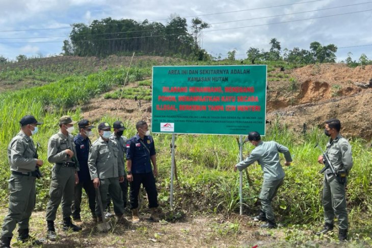 Tim Gabungan Patroli Bekas Tambang Liar Di Area Konsesi Pt Antang Gunung Meratus Wartabanjar 9611