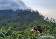 Hidupkan Kawasan Utara, Dinas Pariwisata Kulon Progo Kembangkan Kiskendo dan Menoreh