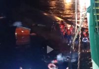KNKT Investigasi Tenggelamnya KMP Yunicee, Telisik Penumpang Tak Ada di Manifes