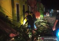 Hujan Deras disertai Angin Kencang, Pohon Tumbang dan Rumah Rusak di Daerah Ini
