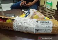 BNN Kalteng Amankan Seorang Pria Beserta Satu Kilogram Ganja di Murung Raya