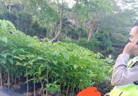 Temuan Mayat Lelaki di Trikora Banjarbaru, ini Identitasnya