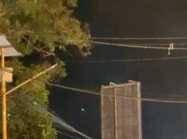Anda Mau Lewat Jembatan Handil Bakti Malam Ini, Sebaiknya Urungkan Niat Pasalnya Bakal Terjebak Macet