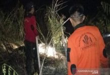 Kebakaran Lahan Gambut di Balangan Seluas Dua Hektare
