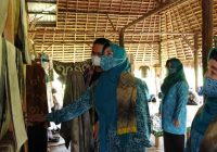 PKK Kalsel Siapkan Toko Digital, Bantu Pasarkan Produk Olahan Ibu Rumah Tangga