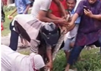 Heboh, Emak-emak Tanpa Rasa Takut Menarik Piton Besar dari Sungai