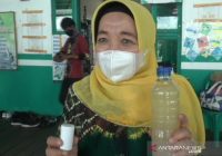 Warga Paminggir HSU Tertarik Mengolah Ikan Gabus di Antaranya Jadi Minyak, Ini Khasiatnya