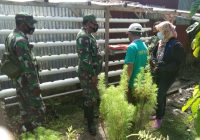Petani di Timika Papua Diajari Melakukan Ini Oleh Anggota TNI