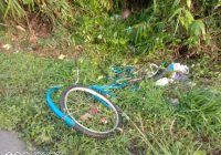 Avanza Tabrak Pesepeda Ontel Warga Tabalong Hingga Tewas, Mobil Terguling ke Semak