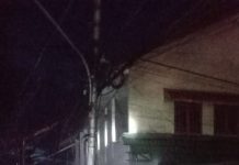 Kurang dari 30 Menit Api di Muara Kelayan Berhasil Dikuasai BPK Gabungan