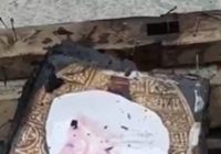 Allahuakbar, Foto Tuan Guru Sani Pendiri Al-Falah Tidak Terbakar
