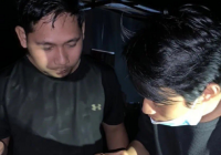 Malam-malam King Kobra 3 Meter Menyelinap di Rumah Warga di Bagendang Hilir Kotim