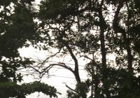 Pagi Idul Adha, Warga Takisung Meregang Nyawa Akibat Lakalantas