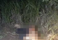 BREAKING NEWS: Mayat Pria Ditemukan di Jalan Gubernur Soebardjo Lingkar Selatan