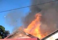 Warga Karya Tani Barambai Batola Berjibaku Padamkan Api
