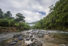 Kembangkan Pariwisata, Warga Dayak Pantai Mangkiling HST Cari Investor Buka Tempat Wisata di Pedalaman Meratus