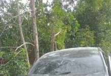 Avanza Melambung Tabrak Carry Pikap di Kintap, Penumpangnya Jumilah Meninggal Dunia