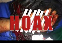 Beruang Serang Warga di Karang Intan Kabupaten Banjar, Hoax