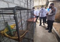 Safrizal Apresiasi Penangkaran Satwa Jenis Aves dan Mamalia di Sekretariat IMI Kalsel