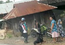 Seorang Pemotor Alami Kecelakaan Lalu Lintas di Mataraman