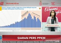 Dokter Reisa Ungkap 10 Kabupaten/Kota Berhasil Turunkan Mobilitas Warga