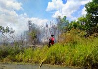 Kebakaran Lahan Terjadi di Wilayah Cempaka Banjarbaru