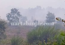 Kebakaran Lahan Berkobar Hebat di Pengayuan Liang Anggang