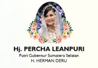 Putri Gubernur Sumsel yang Juga Anggota DPR RI Meninggal Sepekan Setelah Lahirkan Anak Kembar