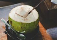 Gaes, Segini Takaran Minum Air Kelapa yang Baik untuk Tubuh Menurut Pakar