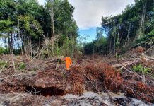 Ingin Buka Lahan, 2 Orang ini Dilaporkan Tersesat di Hutan Sungai Maya, Tarakan, Kalimantan Utara
