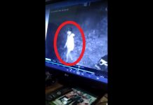 Maling Kembang Terekam CCTV Sudah Tertangkap, Masih Jalani Pemeriksaan di Polsek