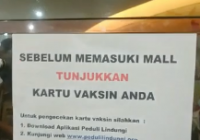 Mendag Sebut PCR Syarat Masuk Mal Selain Vaksin, Susi Pudjiastuti Unggah Ikon Tepuk Jidat