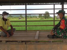 Babinsa Simpang Empat Tanah Bumbu Semangati Petani ditengah Pandemi Covid-19