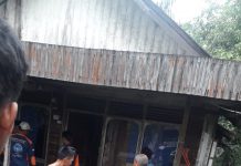 Sempat dinyatakan Hilang, Seorang Kakek ditemukan dibelantara Hutan Sawit