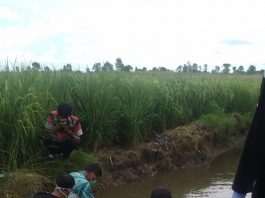 Kapolsek : Mayat di Sungai Tabuk diperkirakan Meninggal Empat Hari Lalu, Tidak Ada Bekas Penganiayaan