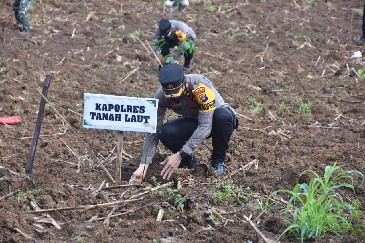 Polres Tanah Laut Tanam Bibit Pohon di Lahan KRT Priangan Desa Bumi Jaya, Ini Tujuannya