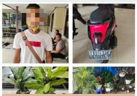 Ternyata Ini Motif Maling Kembang Terekam CCTV di Sidomulyo