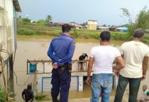 Warga Gotong Royong Selamatkan Barang dan Bahan Bangunan Warung di Antasan Senor Amblas Masuk Sungai Martapura