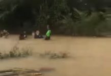 Hujan Terus-menerus Sejumlah Wilayah di Kalteng Banjir Hingga Sedada Orang Dewasa