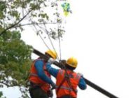 Pukul 10.00-13.00 PLN Padamkan Aliran Listrik di Tabalong, Ini Wilayah Terdampak