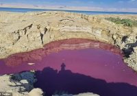 Warna Air Danau Dekat Laut Mati Secara Misterius Berubah Merah Darah