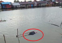 BREAKING NEWS: Ditemukan Mayat Mengapung di Sekitar Jembatan Sungai Lulut