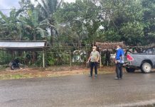 Kadisdag Kalsel Beri Sinyal Revitalisasi Sejumlah Pasar di Tanah Bumbu