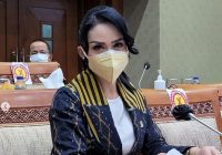 Usul Krisdayanti Harga Tiket Pesawat Sepaket dengan Tes PCR Didukung Warganet