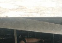 Identitas Mayat Pria Ditemukan di Kolong Rumah Warga Sungai Miai, Banjarmasin